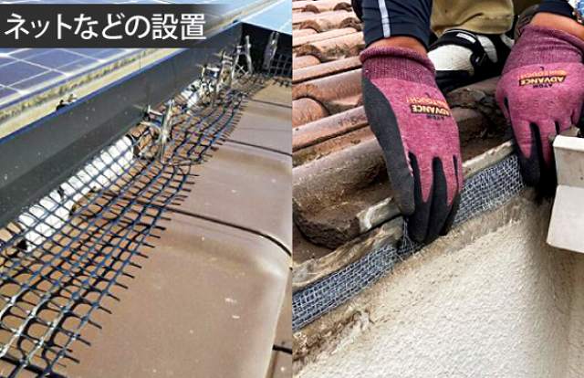 鳩　ネット設置